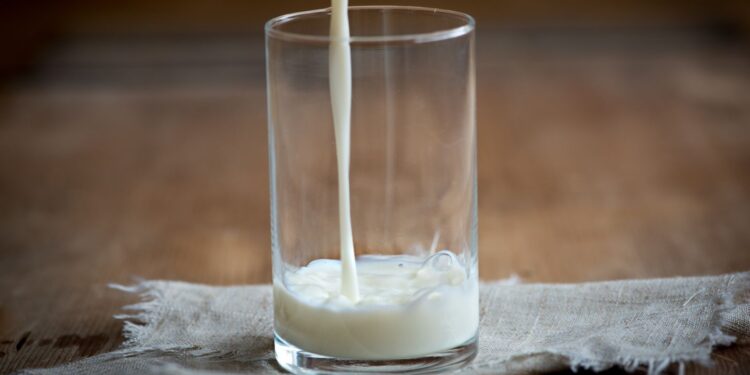 Is Milk Really a Hero or a Double Agent for Your Digestion?